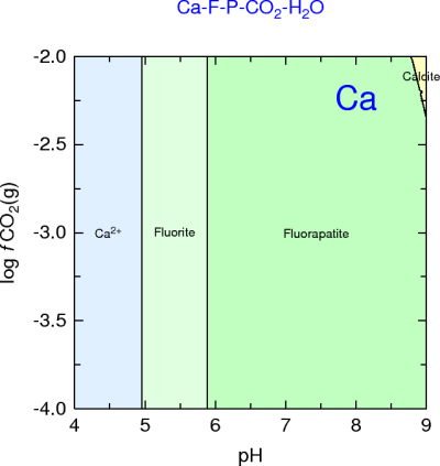 Ca-F-P-CO2-H2O (fluorapatite)